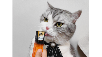 lickable cat treats