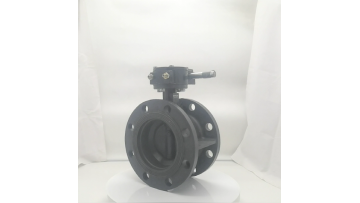PE butterfly valve