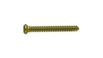 Tibia Nail Locking Screw II for Intramedullary Nailing Procedure1