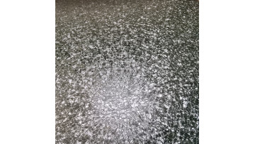 Prepainted Galvanized steel for roofing material