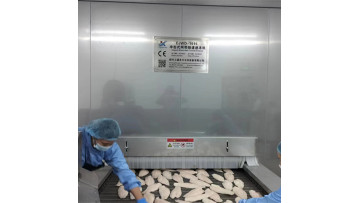 IQF Basa processing line