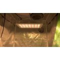 1000W SMD 5730 Greenhouse Hydroponic LED Grow Light