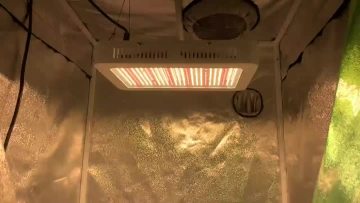 贴片视频.mp4