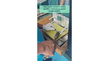 Video 21