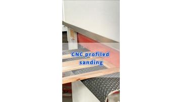 SDS13-Solid wood bathroom cabinet door