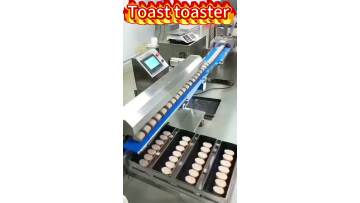 Automatic Toast Forming and Baking Line