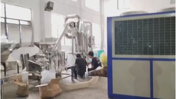 rhizoma polygonati powder grinding machine 