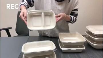 Biodegradable Square Plates