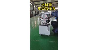11L high dis electric pump