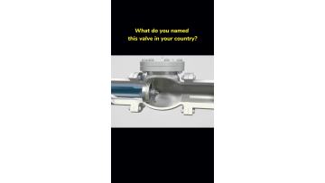 what do you names this valve