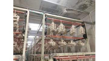 shell drying