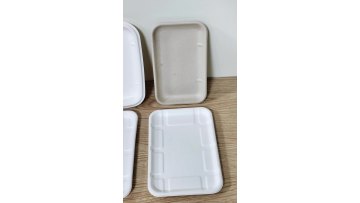New Product Custom Pulp  Food Seal Disposable Frozen Compostable Pla Bagasse White Black Bbq Polystyrene  Meat Tray1