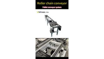 Accumulated Roller Chain Conveyor
