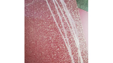 RAL Color Coated Matt Surface Galvanized Steel for Rooing Sheet
