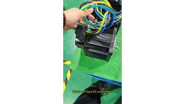 high torque dc servo motor