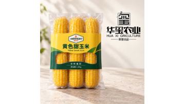 Non-GMO Sweet Yellow Waxy Corn 1.5kg