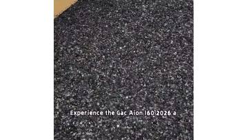 AION i60 2026 Model 210 Standard Edition