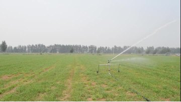 hose reel irrigator sprinkler1.mp4