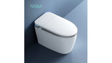 FA-939-9 multi function automatic toilet