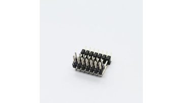 2.54mm Dual Row Double Plastic Angled Header