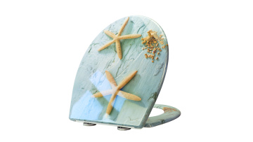 Fanmitrk Toilet Seat UF819-25