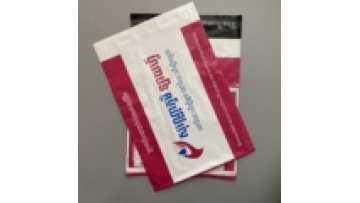 Free Sample Custom Logo tear-proof polyethylene mailers1