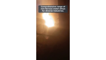 Video 4