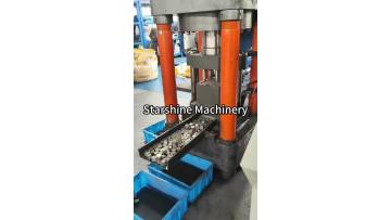 Metal powder briquetting machine