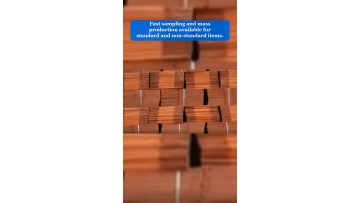 Video 39