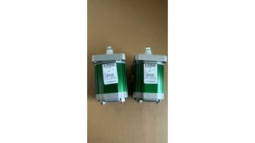 Italian Vivolo Marzocchi gear pumps