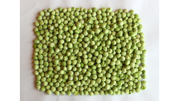 Dehydrated Green Peas