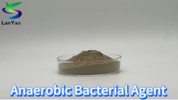Anaerobic Bacterial Agent