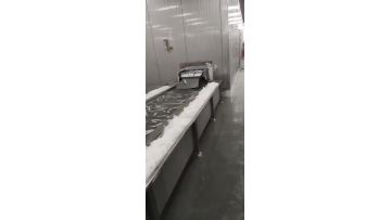 fish freezing and glazing