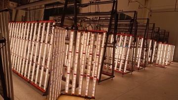 Quantum Board full spectrum led grow light