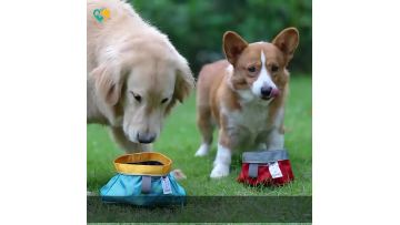Durable Dog Feeding Bowl