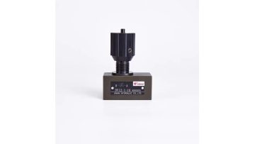 DV12 Throttle valve