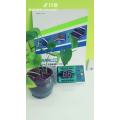 0.8 inch pure green two digits LED display
