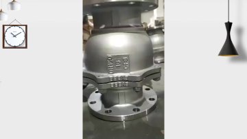 customized drawing equipment titanium GR2 casting gate valve1