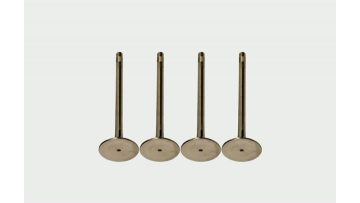 Valves 3088389 for Engine Systems