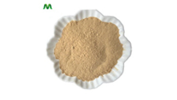 Wholesale Camellia Sinensis Seed Extract Free Sample 70% 90% Tea Saponin Powder1