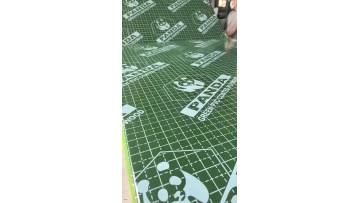 green PP plywood (2)