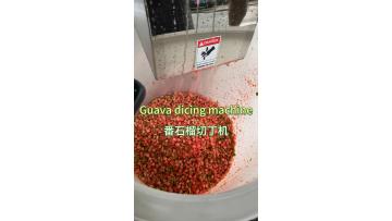 Guava Dicing Machine