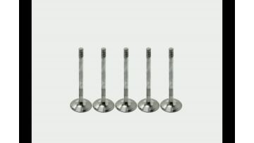 036109601AL VALVE INTAKE