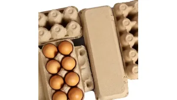 Biodegradable Pulp Paper Dozen Egg Cartons for Chicken Egg Boxes 12 Pack Egg Packaging Box1