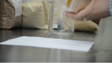 Corn Gluten Meal