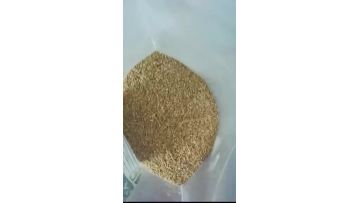cc 60%powder