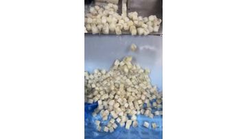 Zhoushan Haiwang Seafood Co.,Ltd