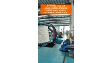 System compatibility evaluation for matching custom cables to existing customer building and power engineering conditions