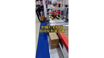 Automated packaging equipment for sealing, packaging and palletizing