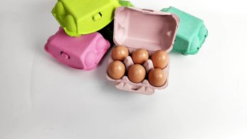 egg trays 6 egg carton boxes cardboard egg boxes1